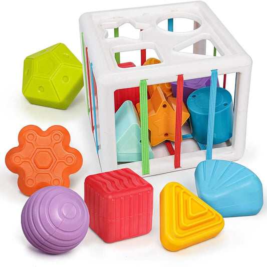 Montessori Shape Sorter Toy Set - 10pcs Unisex Baby Blocks for 1+ Years Old, Sensory Toddler Learning Toy for Fine Motor Skills, Children Development Gift for 18+ Months Infants